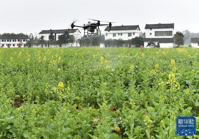 廣安市花橋鎮(zhèn)最新新聞及獲取指南，輕松掌握本地新聞技能