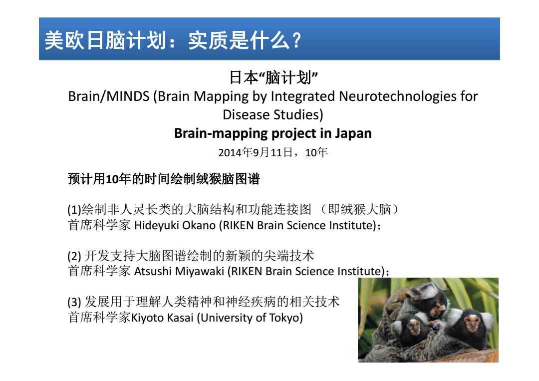 日本腦計劃最新進(jìn)展揭秘，溫馨日常的新突破