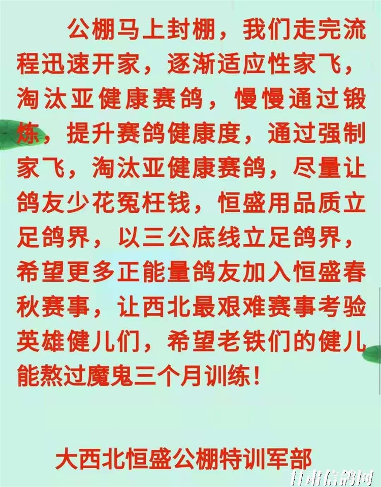 恒翔賽鴿公棚最新公告，展翅翱翔，共舞變化，自信筑夢未來！