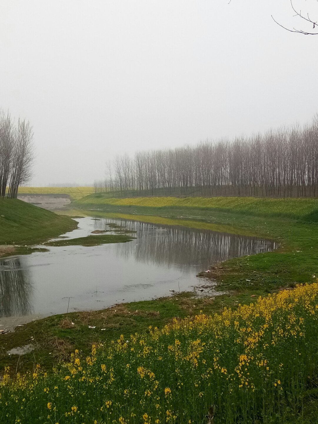 平輿縣天氣預(yù)報(bào)更新，陽光與氣象變化帶來自信與力量