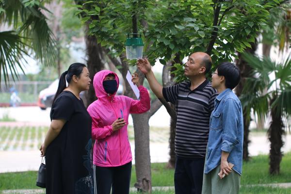 漯河黑龍?zhí)兑?guī)劃揭秘，最新藍(lán)圖與奇遇溫情的融合