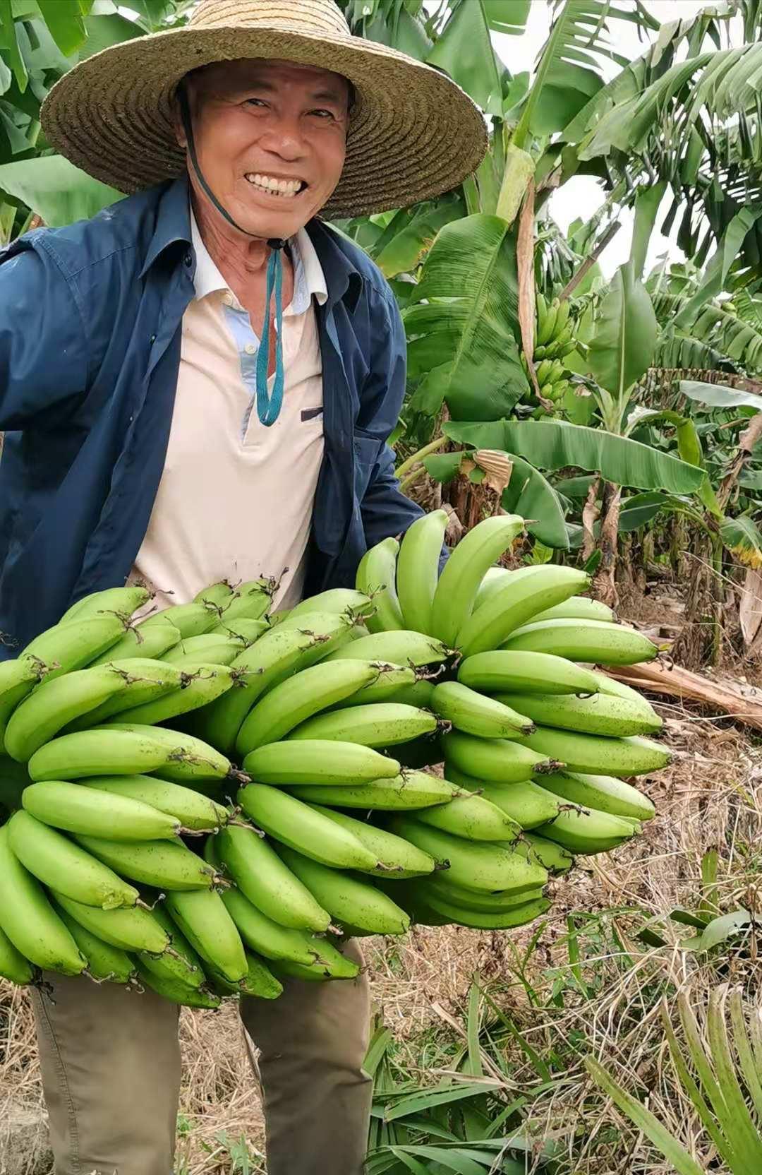 吳川新聞蘭石最新消息全解析，獲取指南助力初學者與進階用戶