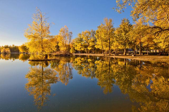 酒泉紅柳廣告最新一期影響力與觀點(diǎn)深度探析