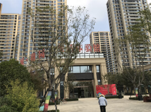 蕭縣綠城樓盤最新動(dòng)態(tài)，市場(chǎng)深度解析與個(gè)人觀點(diǎn)