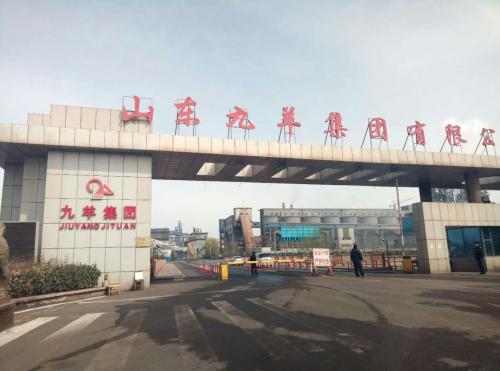 山東九羊公司蓬勃發(fā)展，引領(lǐng)行業(yè)新潮流，最新消息揭秘發(fā)展動(dòng)態(tài)