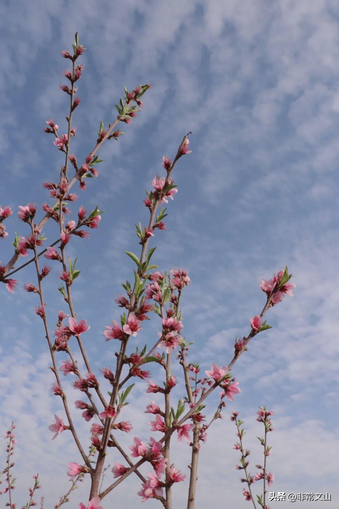 文山馬塘花莊最新開發(fā)，學習之旅的蛻變與自信成就之源