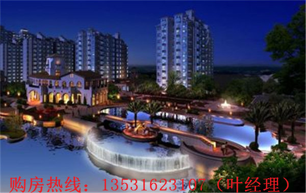 大亞灣羅建強最新消息，深度解析各方觀點與個人立場闡述