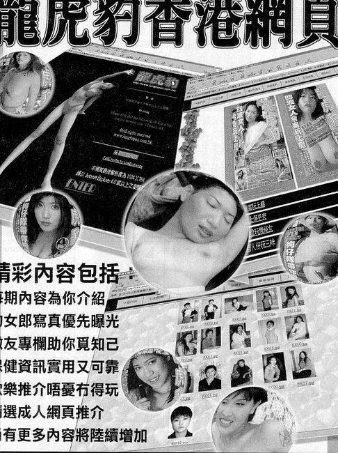 香港龍虎豹最新地址揭秘，探索自然美景，尋覓內(nèi)心寧?kù)o之旅